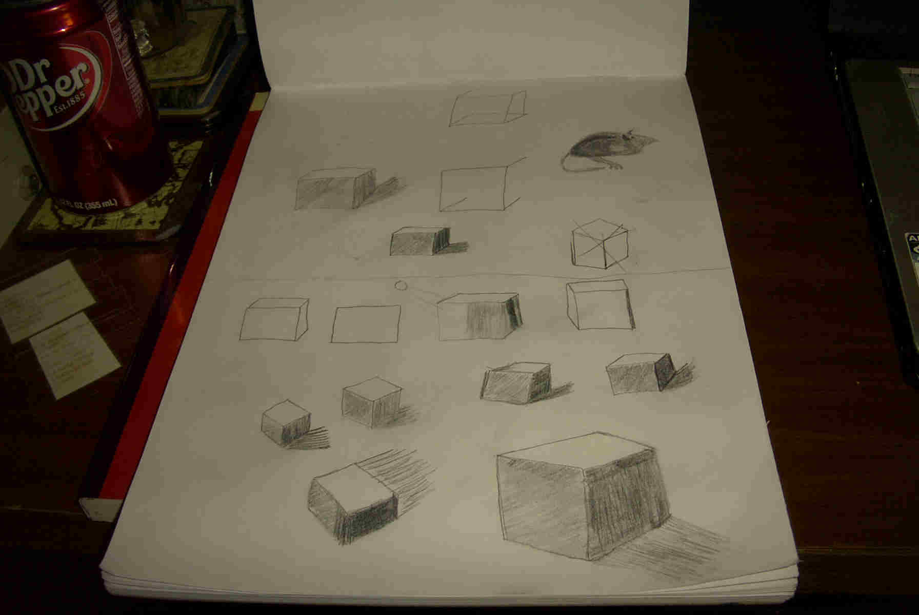 Drawing of Cubes and a (very badly drawn) Mouse